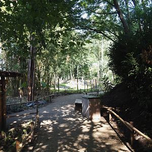 New Central African area Ngyuwe - Walkway next to Pygmy hippopotamus and Western sitatunga exhibits, 2025-08-03