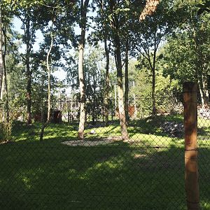 New Central African area Ngyuwe - Second Pygmy hippopotamus and Western sitatunga exhibit, 2025-08-03