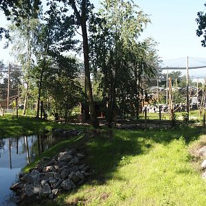 New Central African area Ngyuwe - Second Pygmy hippopotamus and Western sitatunga exhibit, 2025-08-03