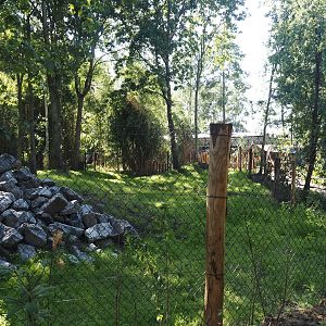 New Central African area Ngyuwe - Second Pygmy hippopotamus and Western sitatunga exhibit, 2025-08-03