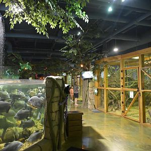 Hill City AquaZoo - Overview of first section