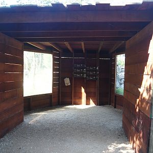 New Central African area Ngyuwe - Viewing area for aviary and Okapi and Yellow-backed duiker paddocks, 2025-08-03