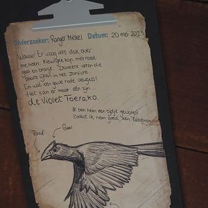 New Central African area Ngyuwe - Ranger notes sign for violet turaco, 2025-08-03