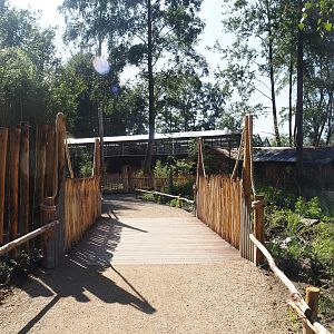New Central African area Ngyuwe - Walkway towards pygmy hippopotamus greenhouse, 2025-08-03