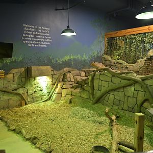 Hill City AquaZoo - Capybara Exhibit