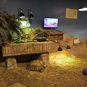 Hill City AquaZoo - African Spurred Tortoise and Laughing Kookaburra Exhibit(s)