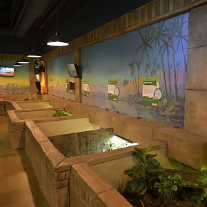 Hill City AquaZoo - Egyptian Room Reptile Exhibits