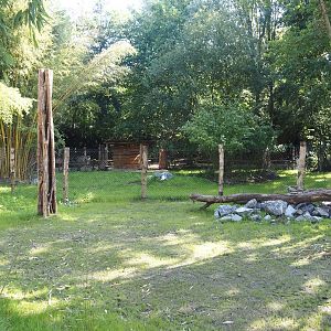 New Central African area Ngyuwe - Separate exhibit for pygmy hippopotamuses, 2025-08-03