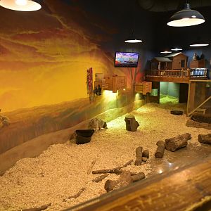 Hill City AquaZoo - Domestic Pig Exhibit