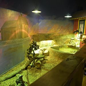 Hill City AquaZoo - Common Water Monitor Exhibit