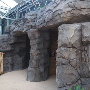 New Central African area Ngyuwe - Cave with nocturnal exhibit and scorpion terrarium in the pygmy hippo greenhouse, 2025-08-03