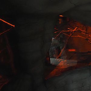 New Central African area Ngyuwe - Nocturnal exhibit for African brush-tailed porcupine and Senegal bushbaby, 2025-08-03