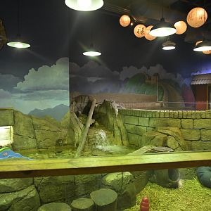 Hill City AquaZoo - Asian Small-clawed Otter Exhibit