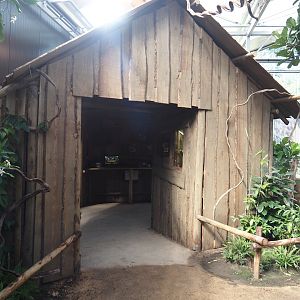 New Central African area Ngyuwe - Viewing hut for Red river hog, De Brazza's monkey and Drill indoor exhibit, 2025-08-03