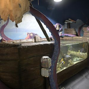 Hill City AquaZoo - Tropical Reef Fish Tank