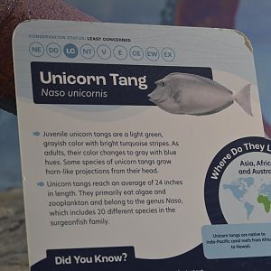 Hill City AquaZoo - Signage Example (when they bothered to include the full species name)