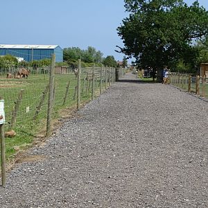Improved and extended pathway, 11th June 2025