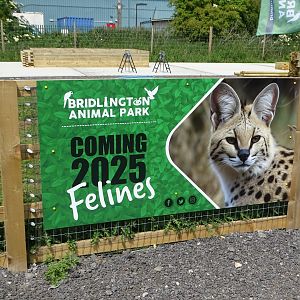 Development signage, 11th June 2025