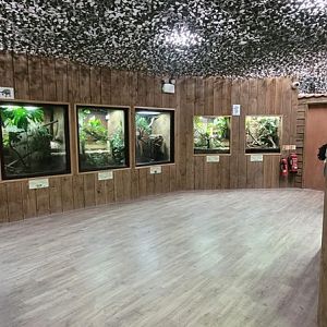 Reptile Room
