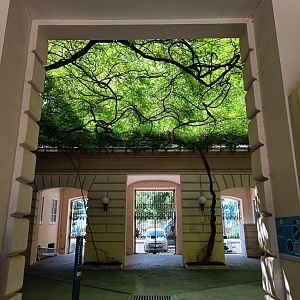 Acquario di Napoli - first view upon entering Stazione Zoologica