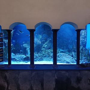 Acquario di Napoli - second tank