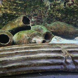 Acquario di Napoli - Roman amphorae