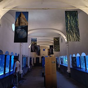 Acquario di Napoli - overview