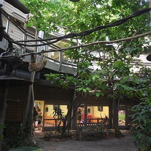 Aug. 2025 - Discovery Forest - Linne's Two-toed Sloth Exhibit