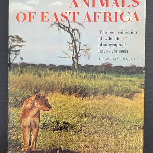 Animals of East Africa