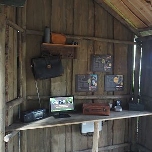 New Central African area Ngyuwe - Field work camp theming in viewing hut for red river hog and primate indoor exhibit, 2025-08-03