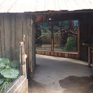 New Central African area Ngyuwe - Viewing hut with field work camp theming for Red river hog, De Brazza's monkey and Drill indoor exhibit, 2025-08-03