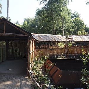 New Central African area Ngyuwe - Covered walkways between the pygmy hippo, red river hog and primate greenhouse and the aviary, 2025-08-03