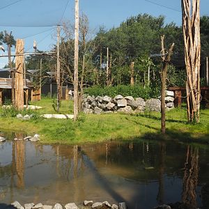 New Central African area Ngyuwe - Aviary with second Yellow-backed duiker and Okapi paddock, 2025-08-03