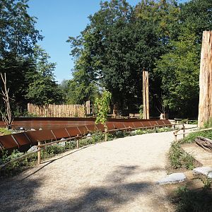 New Central African area Ngyuwe - Walkway and Red river hog, De Brazza's monkey and Drill exhibit, 2025-08-03