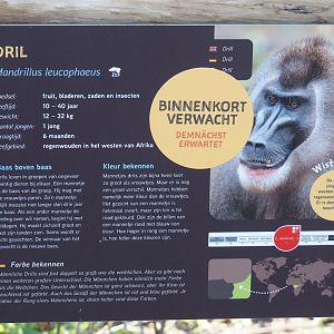 New Central African area Ngyuwe - Drill signage (Species soon to arrive), 2025-08-03