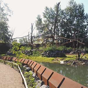 New Central African area Ngyuwe - Red river hog, De Brazza's monkey and Drill exhibit, 2025-08-03