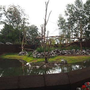 New Central African area Ngyuwe - Red river hog, De Brazza's monkey and Drill exhibit, 2025-08-03