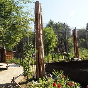 New Central African area Ngyuwe - View of walkways towards aviary, 2025-08-03