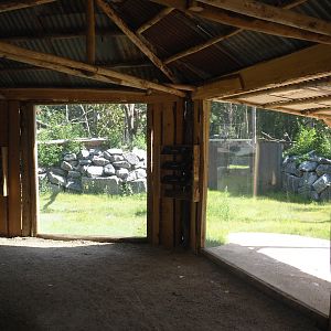 New Central African area Ngyuwe - Viewing area for aviary with second Yellow-backed duiker and Okapi paddock, 2025-08-03