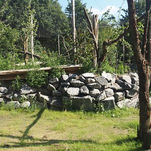 New Central African area Ngyuwe - Elevated bird area in aviary with Yellow-backed duiker and Okapi paddocks, 2025-08-03