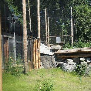 New Central African area Ngyuwe - Holding aviaries next to aviary with Yellow-backed duiker and Okapi paddocks, 2025-08-03