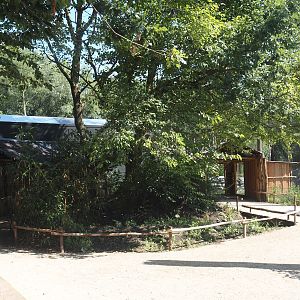 New Central African area Ngyuwe - Entrances to the Okapi and Yellow-backed duiker greenhouse, 2025-08-03