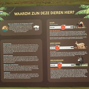 New Central African area Ngyuwe - EEP signage in the Okapi greenhouse, 2025-08-03