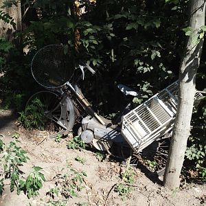 New Central African area Ngyuwe - Poacher's moped theming, 2025-08-03