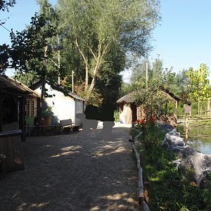 New Central African area Ngyuwe - Walkway next to okapi paddocks with village theming buildings, 2025-08-03