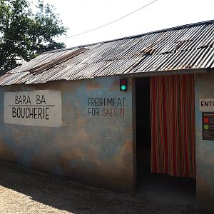 New Central African area Ngyuwe - Bushmeat shop and poachers' café theming building, 2025-08-03