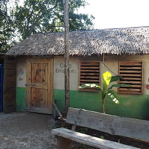 New Central African area Ngyuwe - Bushmeat shop and poachers' café theming building, 2025-08-03