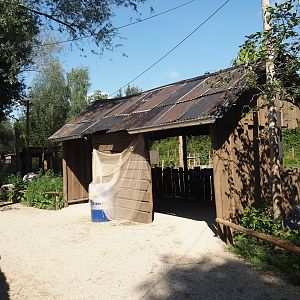 New Central African area Ngyuwe - Okapi paddock viewing area, 2025-08-03