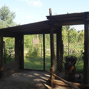 New Central African area Ngyuwe - Second Okapi, Yellow-backed duiker and Kirk's dik-dik paddock viewing hut, 2025-08-03