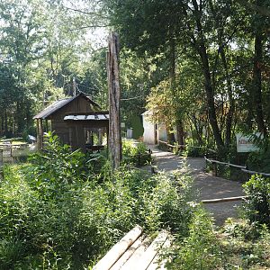 New Central African area Ngyuwe - Walkway and village area with theming buildings next to okapi paddocks, 2025-08-03
